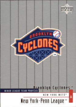 2002 Upper Deck Minor League #332 Brooklyn Cyclones Front