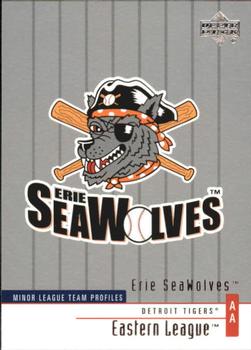2002 Upper Deck Minor League #381 Erie SeaWolves Front