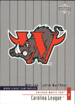 2002 Upper Deck Minor League #392 Winston-Salem Warthogs Front