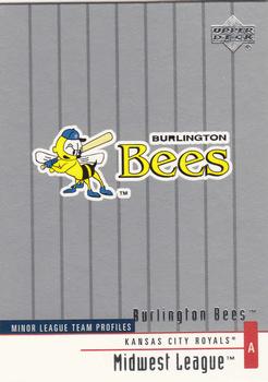 2002 Upper Deck Minor League #378 Burlington Bees Front