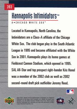 2002 Upper Deck Minor League #393 Kannapolis Intimidators Back