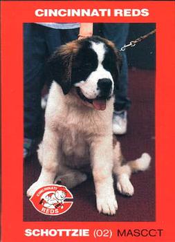 1992 Kahn's Cincinnati Reds #NNO Schottzie Front