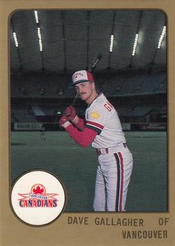 1988 ProCards #771 Dave Gallagher Front