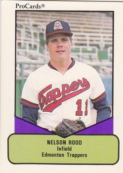 1990 ProCards AAA #101 Nelson Rood Front