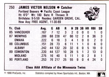 1990 ProCards AAA #250 Jamie Nelson Back