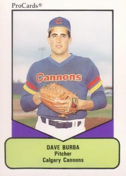 1990 ProCards AAA #110 Dave Burba Front