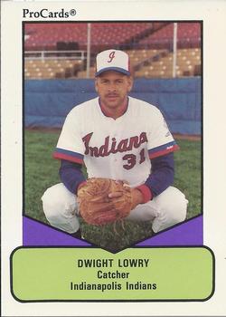 1990 ProCards AAA #580 Dwight Lowry Front