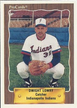 1990 ProCards #297 Dwight Lowry Front