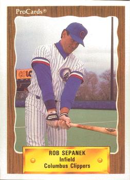 1990 ProCards #684 Rob Sepanek Front