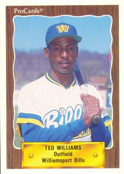 1990 ProCards #1071 Ted Williams Front