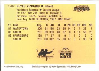 1990 ProCards #1202 Junior Vizcaino Back