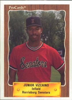 1990 ProCards #1202 Junior Vizcaino Front