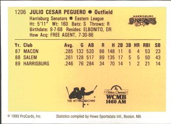 1990 ProCards #1206 Julio Peguero Back