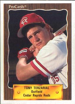 1990 ProCards #2333 Tony Terzarial Front