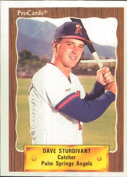 1990 ProCards #2582 Dave Sturdivant Front