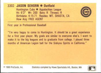 1990 ProCards #3302 Jason Sehorn Back