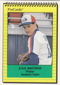 1991 ProCards #2048 Steve Whitehead Front