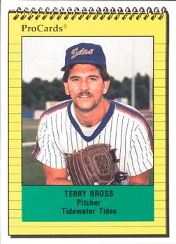 1991 ProCards #2501 Terry Bross Front