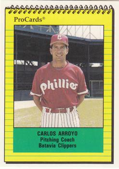 1991 ProCards #3501 Carlos Arroyo Front