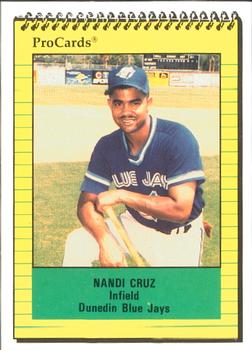 1991 ProCards #213 Nandi Cruz Front
