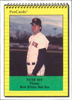 1991 ProCards #349 Peter Hoy Front