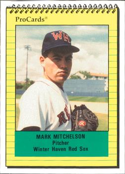 1991 ProCards #484 Mark Mitchelson Front
