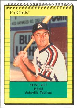 1991 ProCards #578 Steve Veit Front