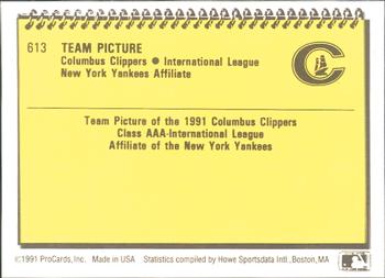 1991 ProCards #613 Team Picture Back