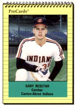 1991 ProCards #982 Gary Resetar Front