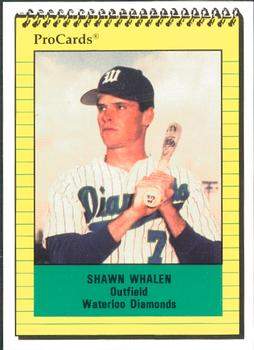 1991 ProCards #1271 Shawn Whalen Front