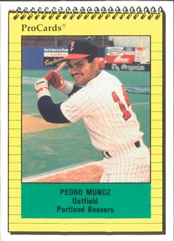 1991 ProCards #1579 Pedro Munoz Front