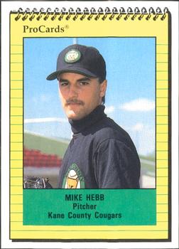 1991 ProCards #2654 Mike Hebb Front