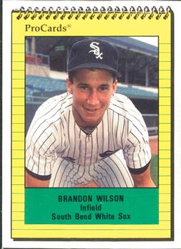 1991 ProCards #2867 Brandon Wilson Front