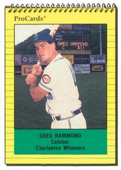1991 ProCards #2890 Greg Hammond Front