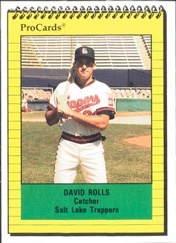 1991 ProCards #3213 David Rolls Front