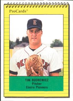 1991 ProCards #3262 Tim Budrewicz Front