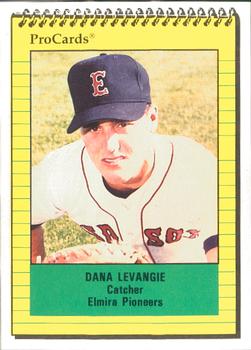 1991 ProCards #3273 Dana LeVangie Front