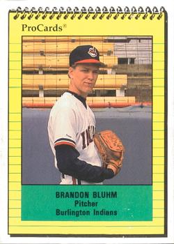 1991 ProCards #3290 Brandon Bluhm Front
