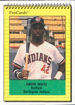 1991 ProCards #3319 Andre White Front