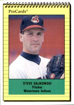 1991 ProCards #3361 Steve Gajkowski Front
