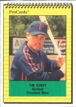 1991 ProCards #3436 Tim Sandy Front
