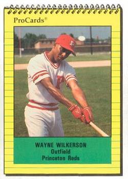 1991 ProCards #3530 Wayne Wilkerson Front