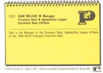 1991 ProCards #3531 Sam Mejias Back