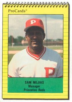 1991 ProCards #3531 Sam Mejias Front