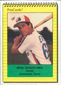 1991 ProCards #3553 Mark Grudzielanek Front