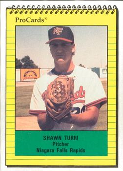 1991 ProCards #3632 Shawn Turri Front