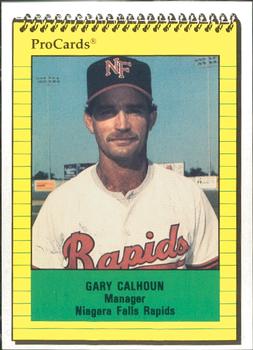 1991 ProCards #3650 Gary Calhoun Front