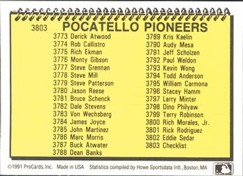 1991 ProCards #3803 Checklist Back