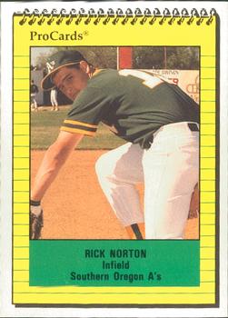 1991 ProCards #3856 Rick Norton Front
