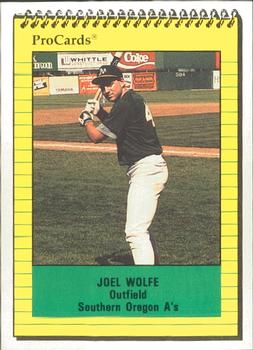 1991 ProCards #3865 Joel Wolfe Front